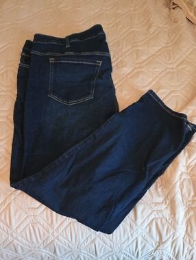 Lane Bryant Dark Blue Skinny Jeans